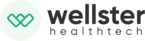 Wellster logo 500w