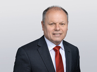 Schmidt stefan web