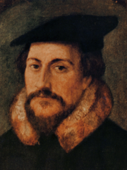 Calvin johannes